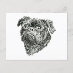 Mops Postkarte