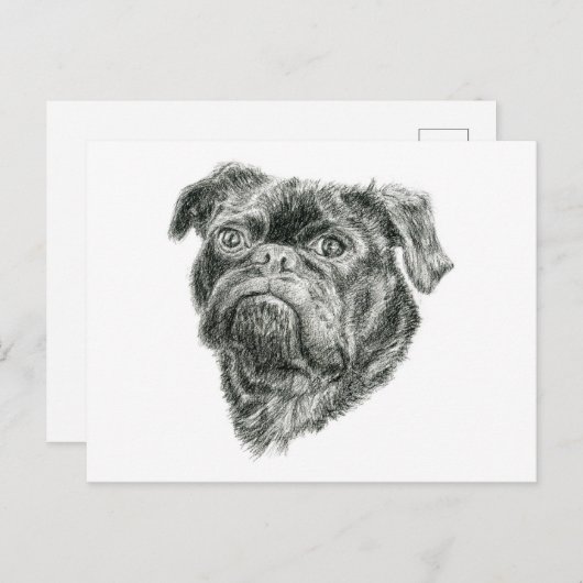 Mops Postkarte (Vorne/Hinten)
