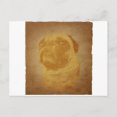 Mops Postkarte (Vorderseite)