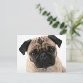 Mops Postkarte (Stehend Vorderseite)