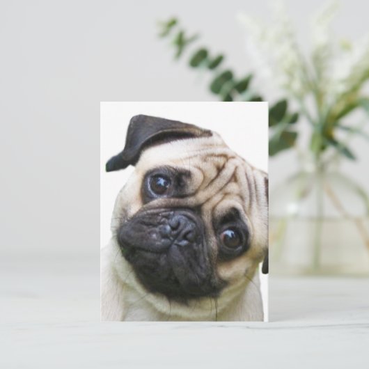 Mops Postkarte (Stehend Vorderseite)