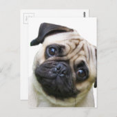 Mops Postkarte (Vorne/Hinten)
