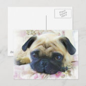 Mops Postkarte (Vorne/Hinten)