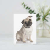 Mops Postkarte (Stehend Vorderseite)