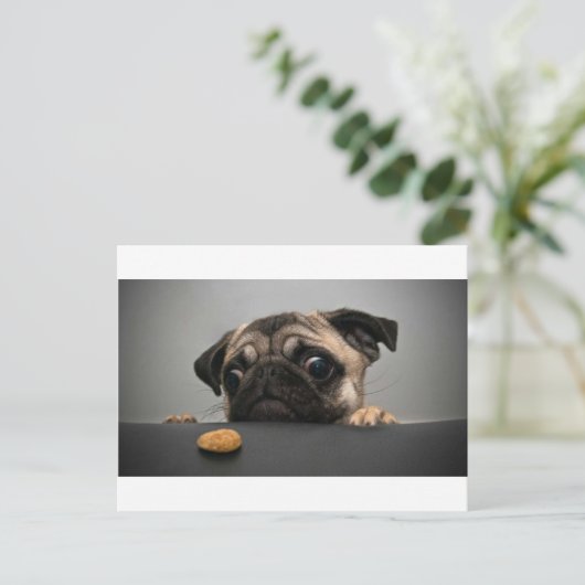 Mops Postkarte (Stehend Vorderseite)