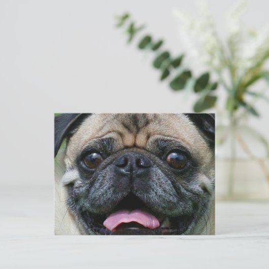 Mops Postkarte (Stehend Vorderseite)