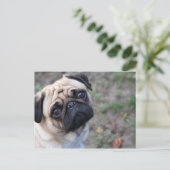 MOPS POSTKARTE (Stehend Vorderseite)