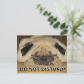 Mops Postkarte darf nicht beschädigt werden (Stehend Vorderseite)