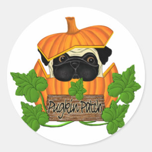 Mops Pumpkin Patch Runder Aufkleber