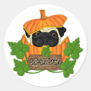 Mops Pumpkin Patch Runder Aufkleber