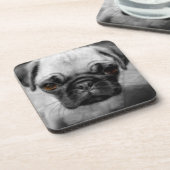 Mops Pup Getränkeuntersetzer (Linke Seite)