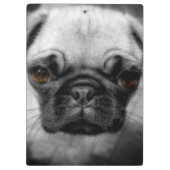 Mops Pup Klemmbrett (Rückseite)