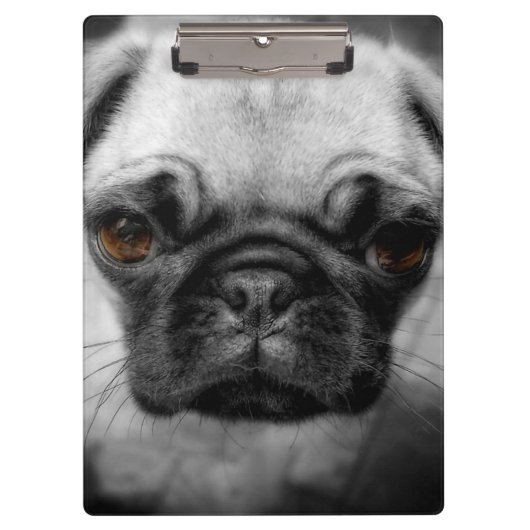 Mops Pup Klemmbrett (Vorderseite)