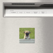 Mops Pup Magnet (In Situ (Geschirrspüler))