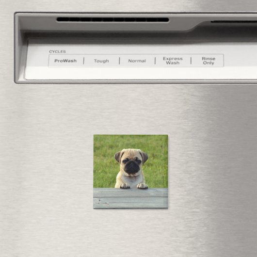 Mops Pup Magnet (In Situ (Geschirrspüler))