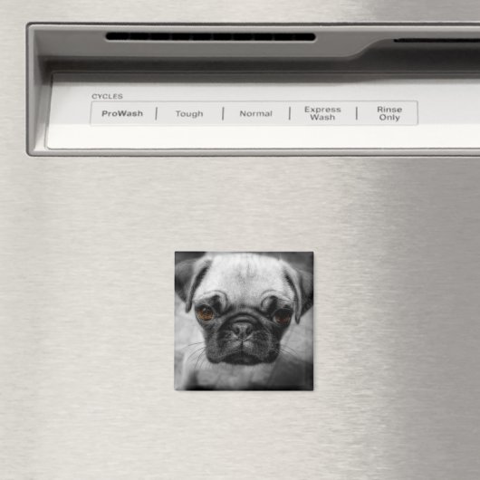 Mops Pup Magnet (In Situ (Geschirrspüler))