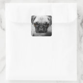 Mops Pup Quadratischer Aufkleber (Tasche)