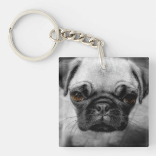 Mops Pup Schlüsselanhänger