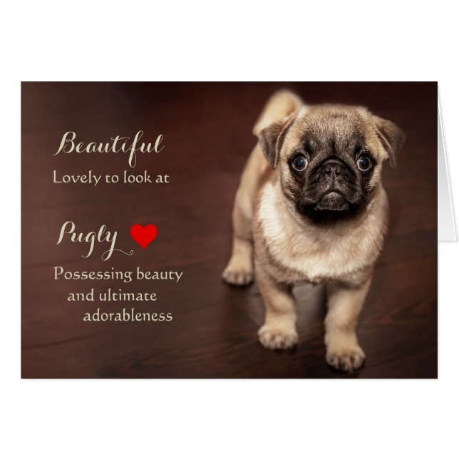Mops Puppy (Vorderseite (Horizontal))