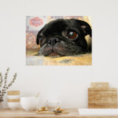 Mops Puppy Black Face Poster (Küche)
