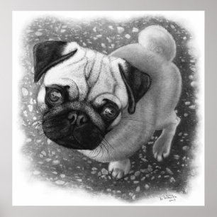 Mops Puppy Dog Art Poster