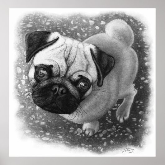 Mops Puppy Dog Art Poster (Vorne)