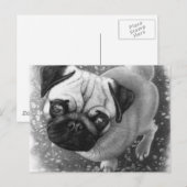 Mops Puppy Dog Art Postkarte (Vorne/Hinten)