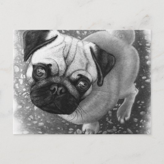 Mops Puppy Dog Art Postkarte (Vorderseite)