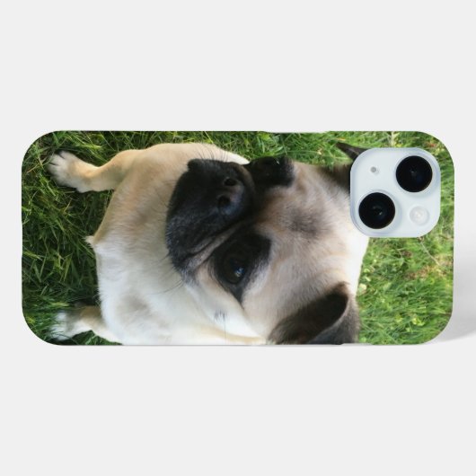 Mops Puppy Foto Case-Mate iPhone Hülle (Rückseite (Horizontal))
