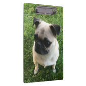 Mops Puppy Foto Klemmbrett (Rechts)