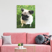 Mops Puppy Foto Leinwanddruck (Insitu (Wohnzimmer))