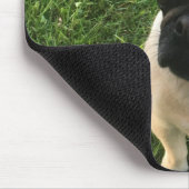 Mops Puppy Foto Mousepad (Ecke)