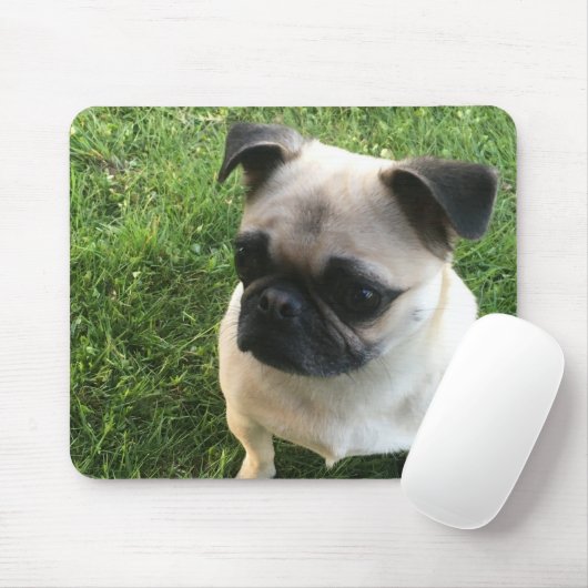 Mops Puppy Foto Mousepad (Mit Mouse)