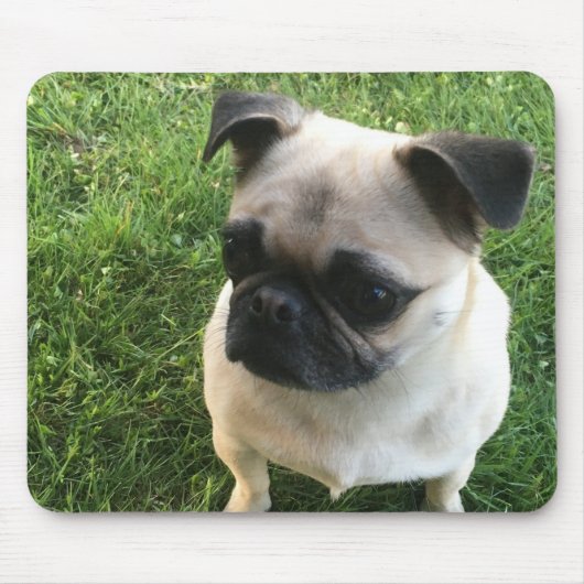 Mops Puppy Foto Mousepad (Vorne)