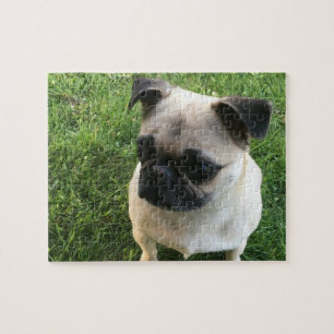 Mops Puppy Foto Puzzle