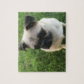 Mops Puppy Foto Puzzle (Vertikal)