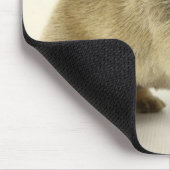 Mops Puppy Mousepad (Ecke)