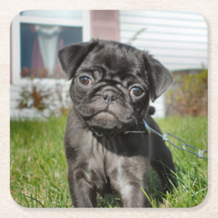 Mops-PUPPY-Papierplatte Rechteckiger Pappuntersetzer