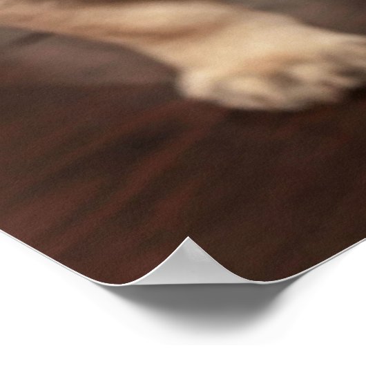 Mops Puppy Poster (Ecke)