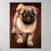 Mops Puppy Poster (Vorne)