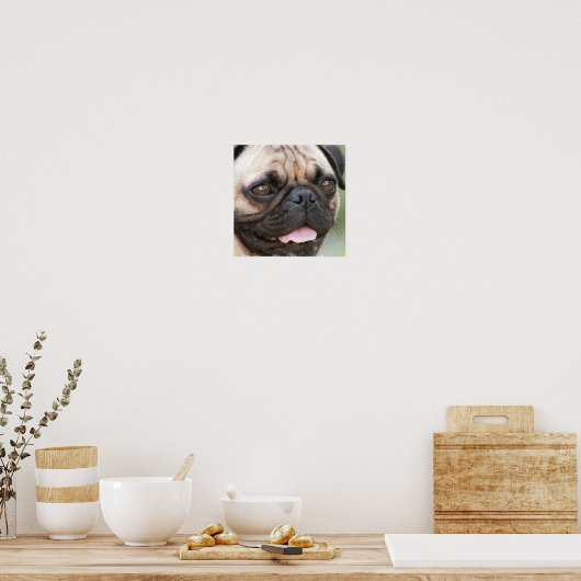 Mops Puppy Poster Print (Küche)