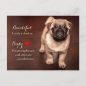 Mops Puppy Postkarte (Vorderseite)
