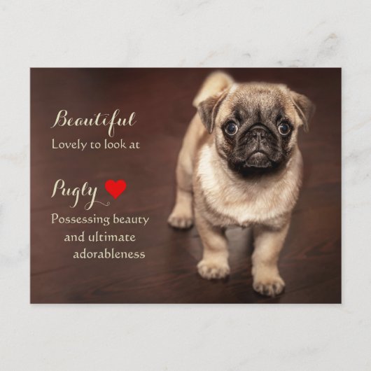 Mops Puppy Postkarte (Vorderseite)