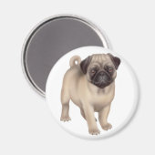 Mops Puppy Round Magnet (Vorderseite/Rückseite)