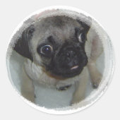 Mops Puppy Runder Aufkleber (Vorderseite)