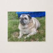 Mops Puzzle (Horizontal)