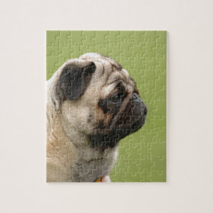 Mops Puzzle