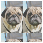 MOPS q Stoff (Nahaufnahme)