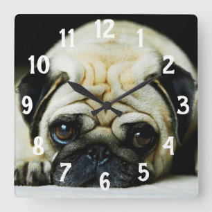 Mops Quadratische Wanduhr