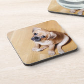 Mops-querer unbekümmerter Königcharles Spaniel Getränkeuntersetzer (Linke Seite)